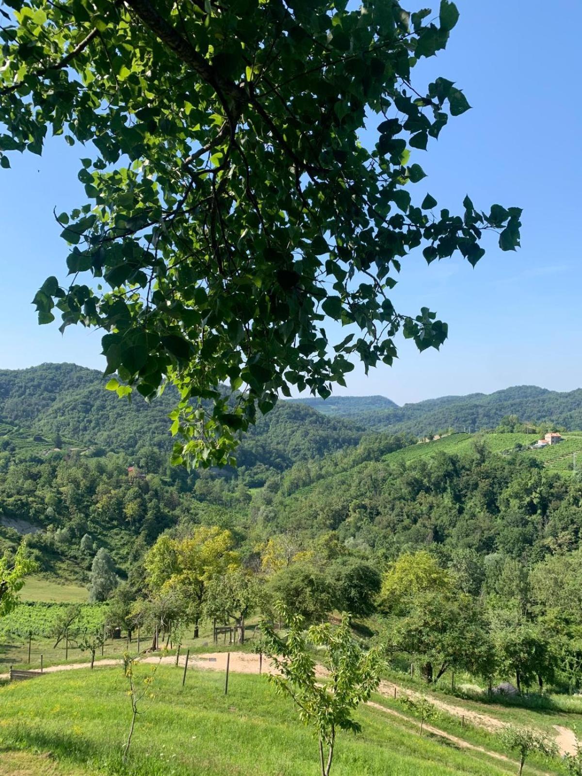 Agriturismo Le Noci Tarzo Exterior foto